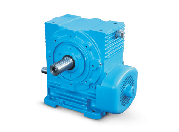 93407Worm Gear Medium 2